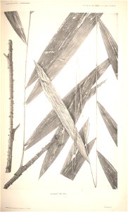 n78_w1150