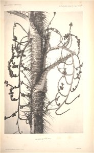 n48_w1150