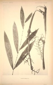 n147_w1150
