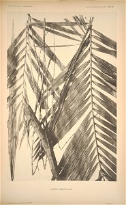 n132_w1150