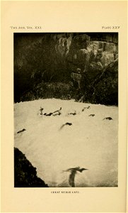 n517_w1150
