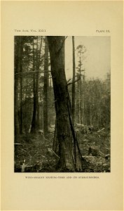 n545_w1150