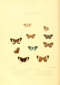 n199_w1150