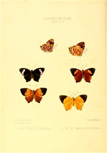 n155_w1150
