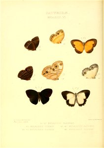 n127_w1150