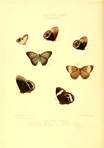 n99_w1150