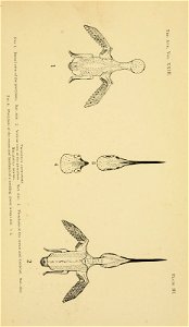 n576_w1150
