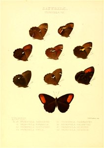 n67_w1150