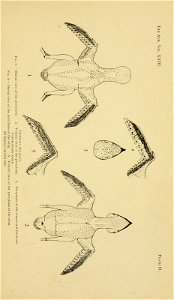 n574_w1150