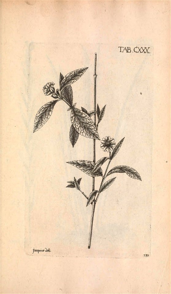 n588_w1150