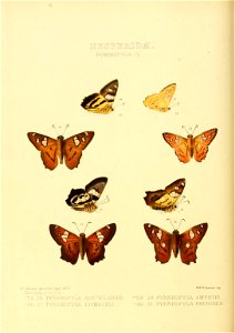 n171_w1150