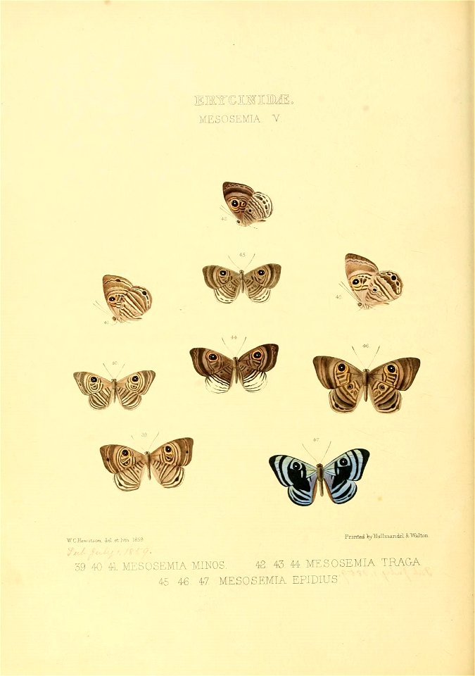 n187_w1150