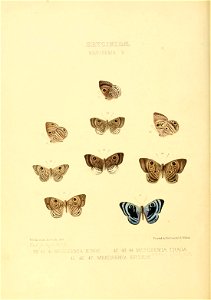 n187_w1150