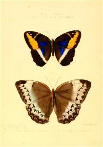 n17_w1150