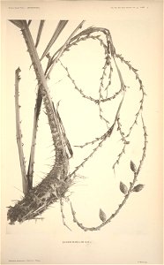 n7_w1150