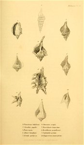 n128_w1150