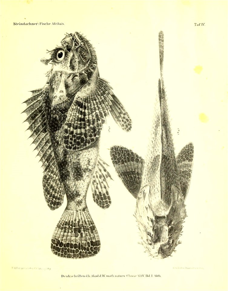 n52_w1150