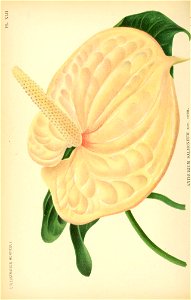 n357_w1150