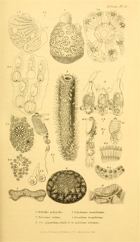 n206_w1150
