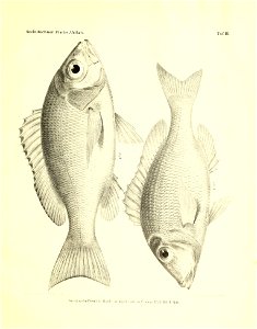 n50_w1150