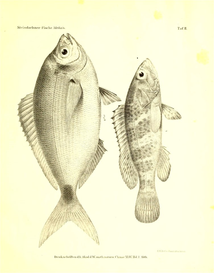 n48_w1150