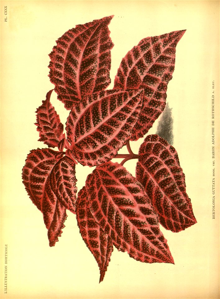 n93_w1150