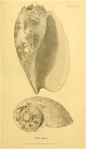 n114_w1150