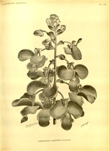 n85_w1150