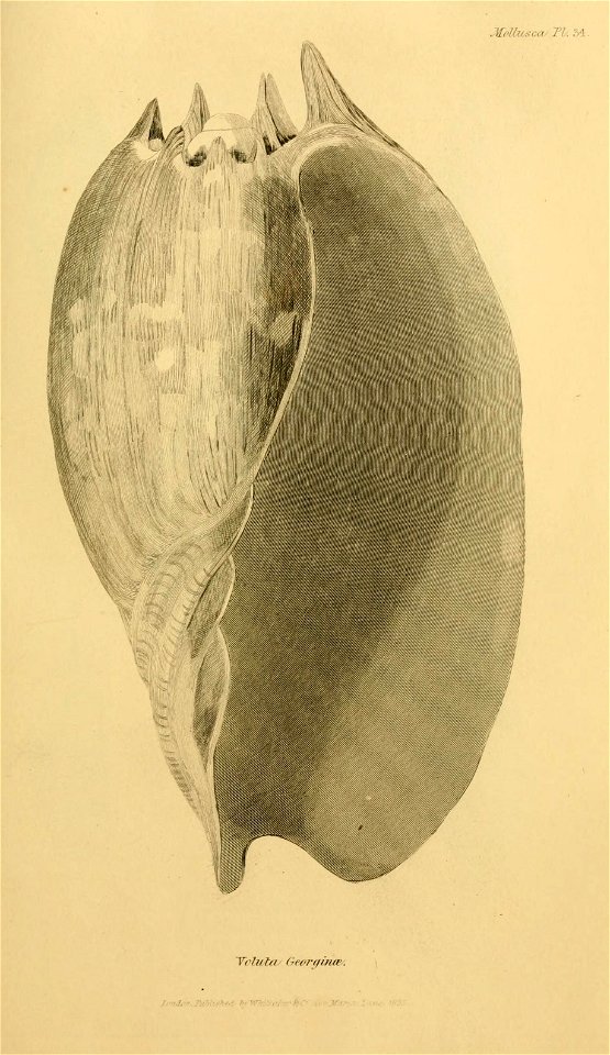 n108_w1150