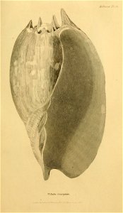 n108_w1150
