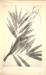 n57_w1150