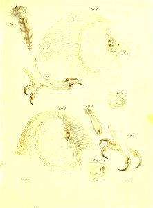 n120_w1150