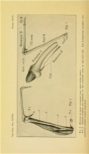 n595_w1150