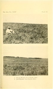n150_w1150