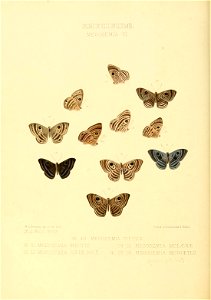 n191_w1150