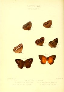 n123_w1150