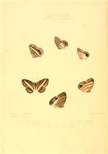 n95_w1150