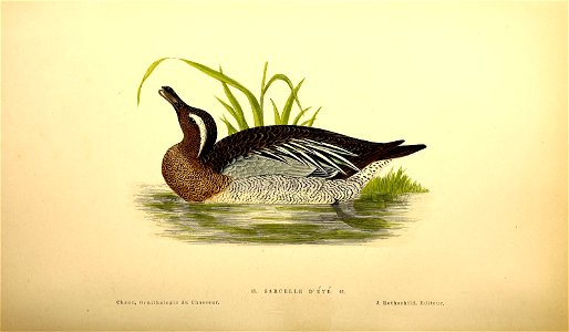 n251_w1150