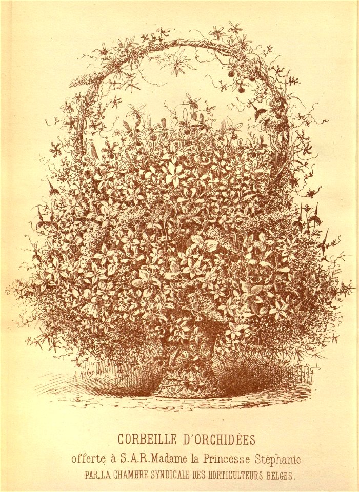n89_w1150