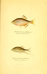 n446_w1150