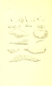 n205_w1150