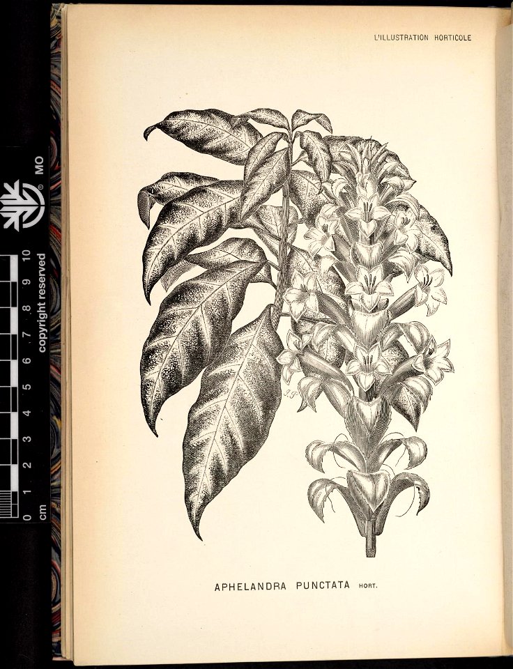 n129_w1150