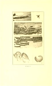 n197_w1150