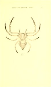 n134_w1150