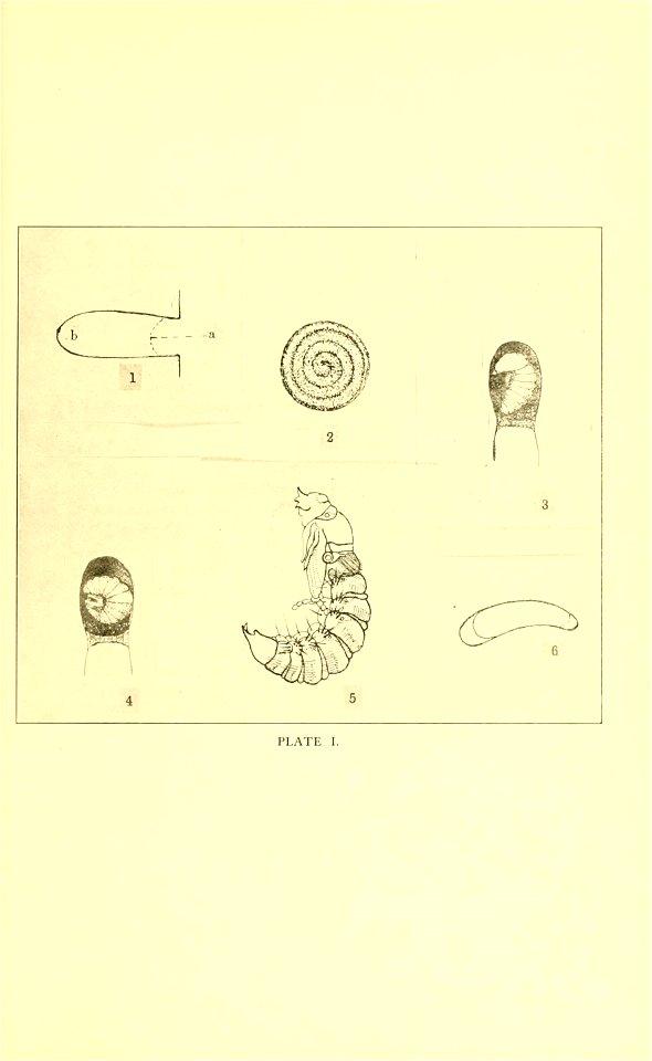 n196_w1150