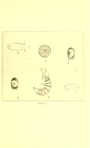n196_w1150