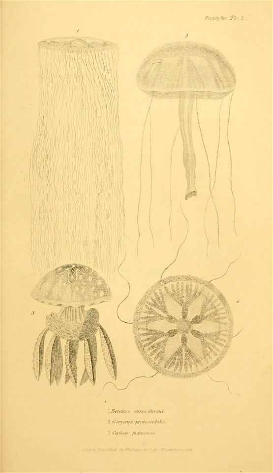 n612_w1150