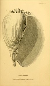 n106_w1150