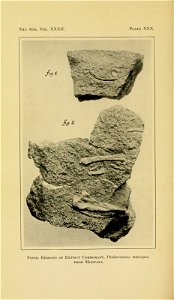 n607_w1150