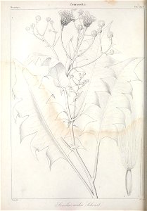 n653_w1150